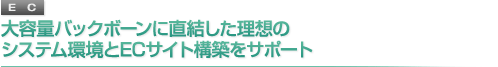 大容量バックボーンに直結した理想のシステム環境とECサイト構築をサポート